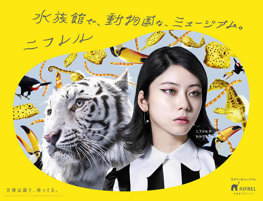 水族館で、動物園な、ミュージアム。ニフレル