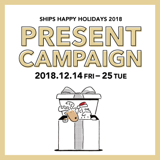 PRESENT CAMPAIGN