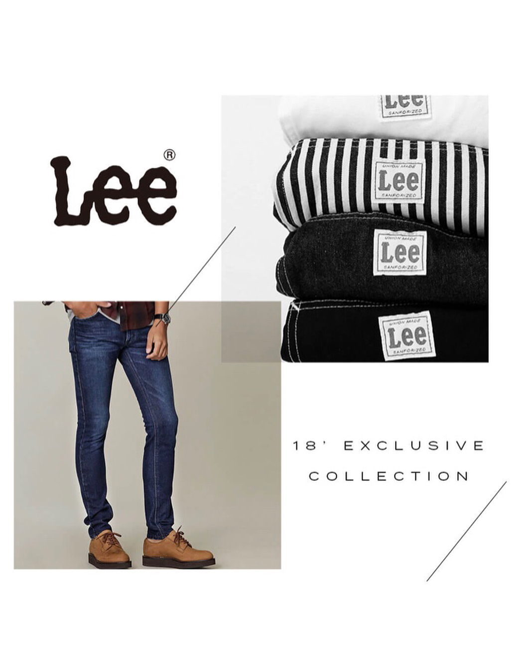 Lee × nano universe