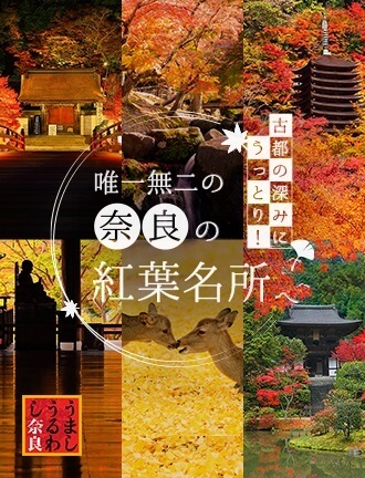 うましうるわし奈良