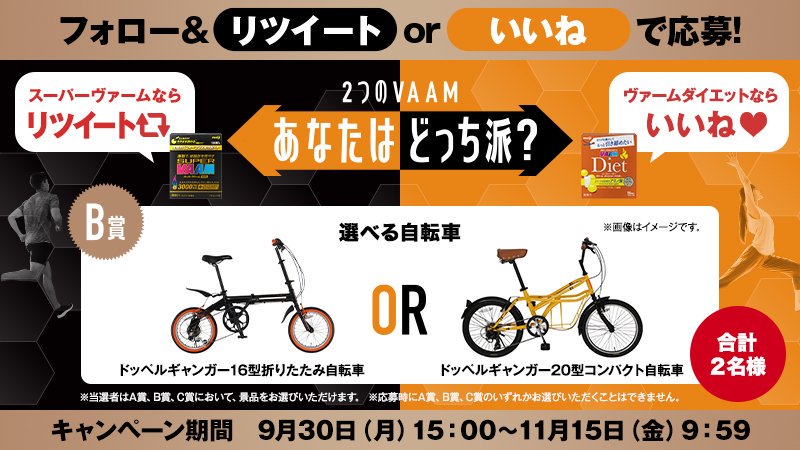 ２つのVAAMあなたはどっち派？