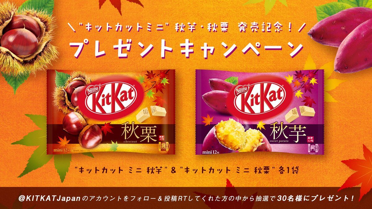 プレゼントキャンペーン