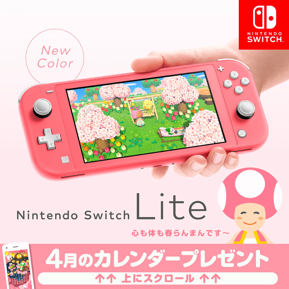 Nintendo Switch Lite