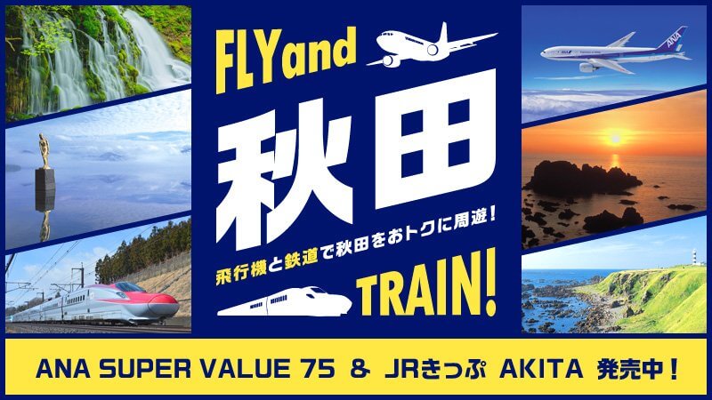 Fly & Train