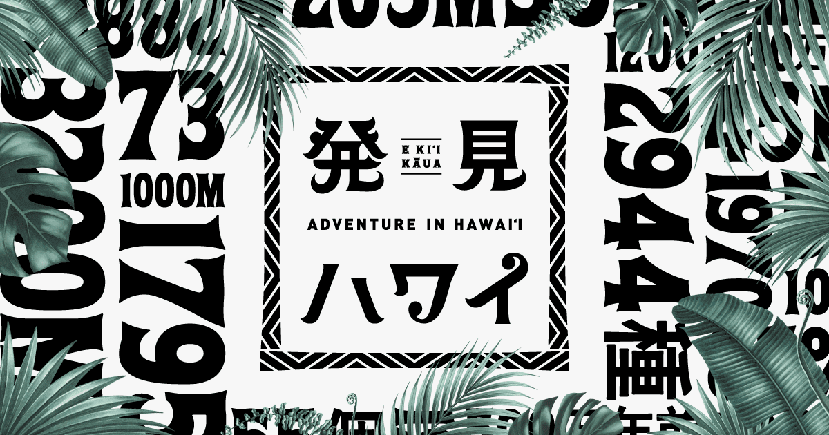 発見ハワイ