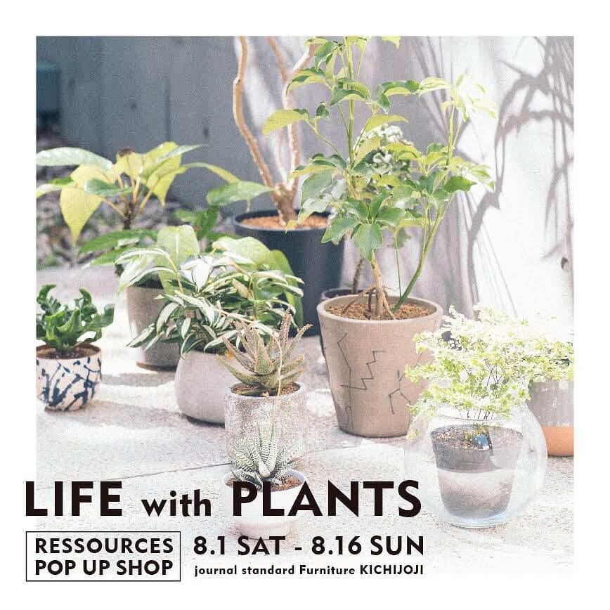 “LIFE WITH PLANTS”﻿ 8.1 sat〜8.16 sun