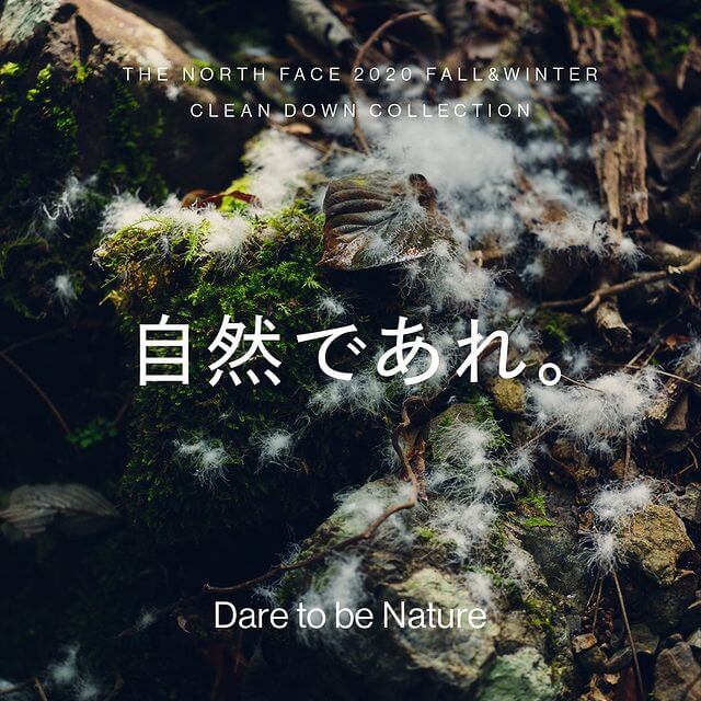 【THE NORTH FACE 2020 FALL&WINTER CLEAN DOWN COLLECTION】