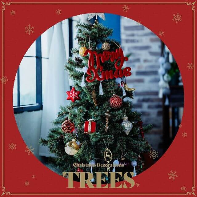 niko and … Xmas 2020