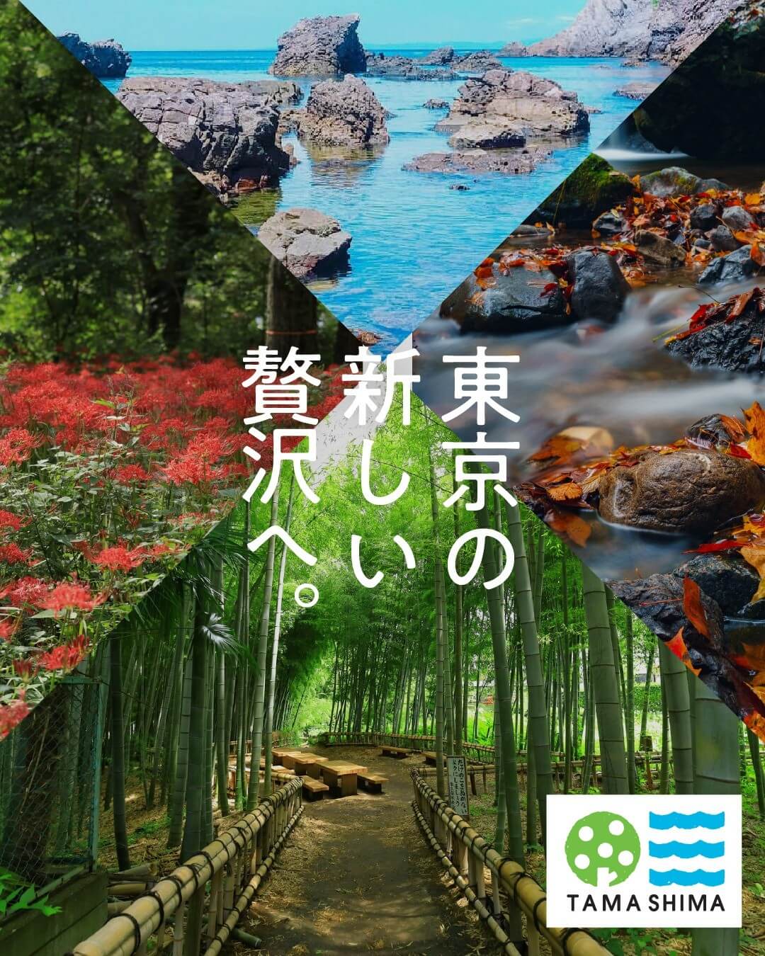 大都会・東京のもう一つの顔。それが、多摩と島。