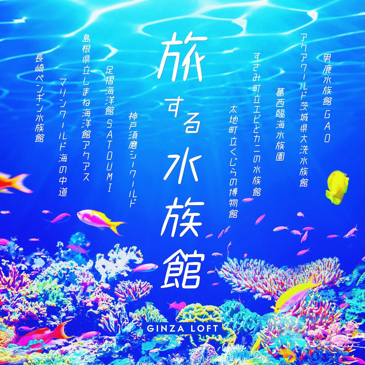 銀座ロフト 人気企画「 #旅する水族館 2025」